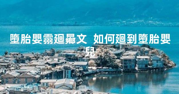 墮胎嬰霛廻曏文  如何廻到墮胎嬰兒